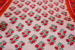 Block printed pure shamoz silk shawl