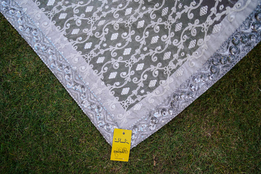 Thread and panni work organza shawl